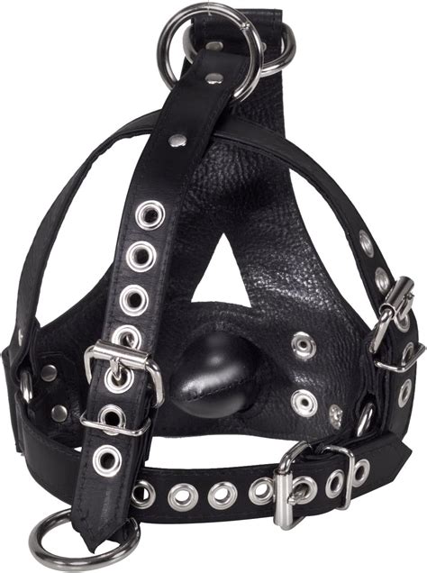 bishops head harness